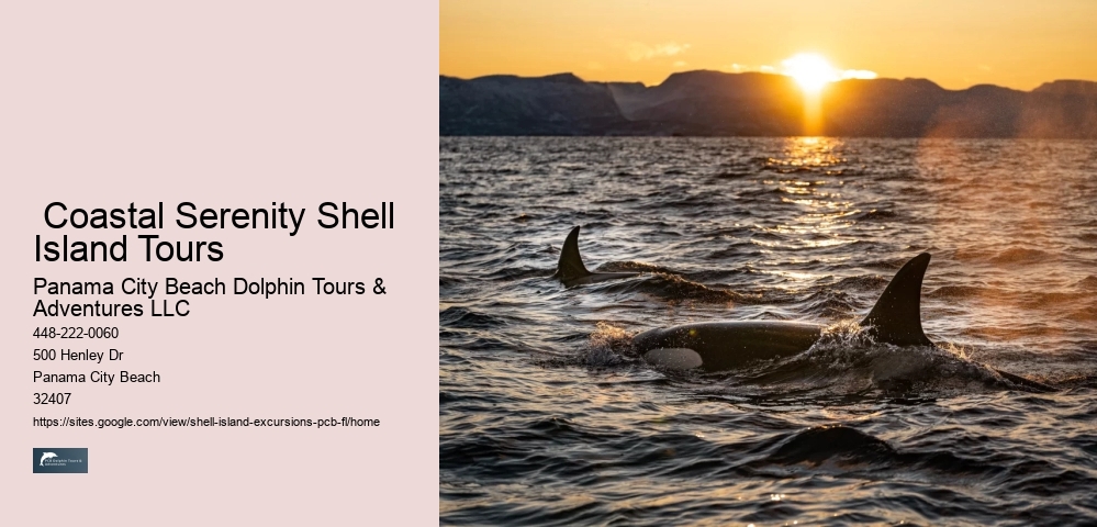  Coastal Serenity Shell Island Tours