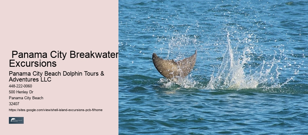  Panama City Breakwater Excursions