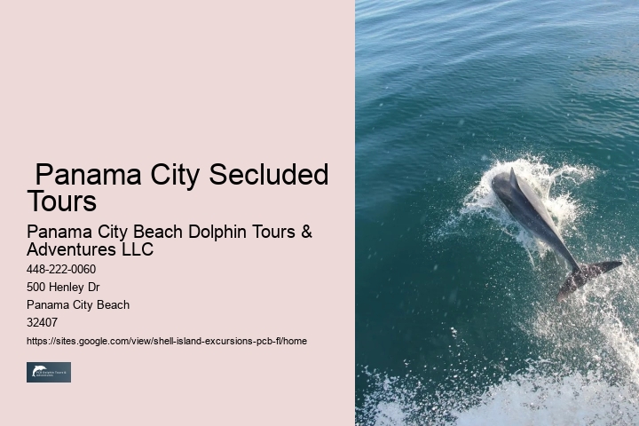  Shell Island Trips & Dolphin Tours